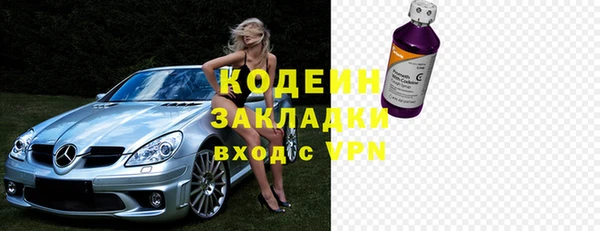 прущие грибы Верея