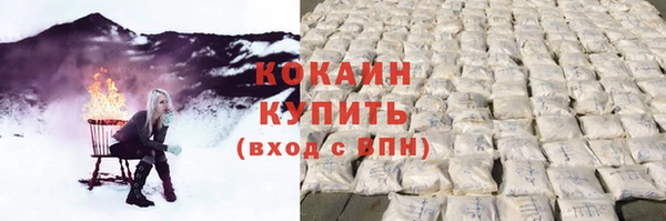 прущие грибы Верея