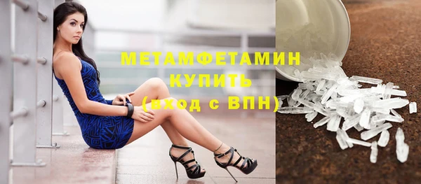 прущие грибы Верея