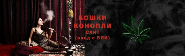 прущие грибы Верея