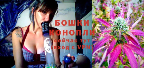 прущие грибы Верея
