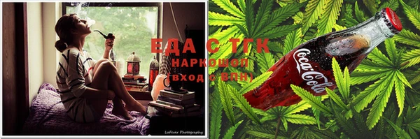 прущие грибы Верея