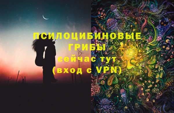 прущие грибы Верея
