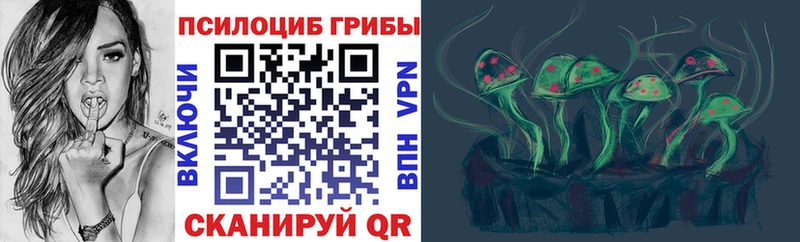 наркошоп  Павлово  Галлюциногенные грибы прущие грибы 